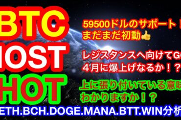 【仮想通貨 BTC.ETH.IOST.BCH.DOGE.MANA.BTT.WIN.HOT】ビットコインは小幅下落❗️でも上昇目線は変わらず👍IOSTもそろそろ動く❗️❓DOGEは重要ライン突破😊