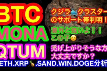 【仮想通貨 BTC.ETH.SAND.MONA.QTUM.WIN.XRP.DOGE】ビットコインのクジラ🐳様の意識されてるライン判明❗️DOGEコインがまた決済採用😊USAはやはり意識が違う😅