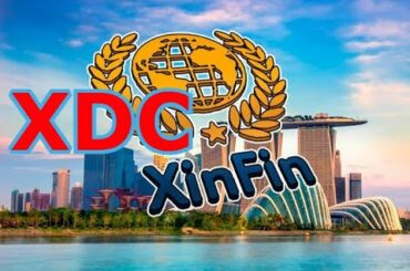 XinFin   XDCはスティーブ・マックィーン・コイン　　動画③