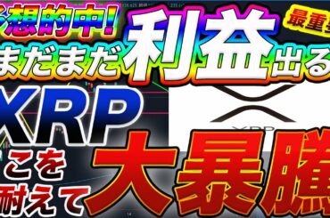 【XRP最後のバーゲンセール!?】リップルここを耐えて大暴騰必至!!もうこんな安値じゃ仕込めない!?億トレーダーが今後のシナリオを徹底解説【仮想通貨】【ビットコイン】