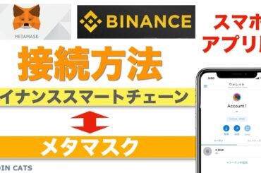 【仮想通貨】メタマスクウォレットとバイナンスチェーンの接続方法