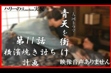 【大河ドラマ 青天を衝け 第11話 「横濱焼き討ち計画」 2021年4月25日 20210425】渋沢栄一 吉沢亮 堤真一 木村佳乃 北王子欣也 草彅剛  上白石萌音　※映像音声ありません