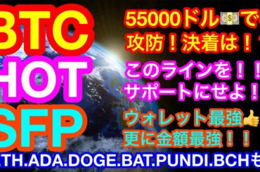 【仮想通貨 BTC.ETH.HOT.ADA.DOGE.BAT.SFP.PUNDIX.BCH】ビットコインはまだまだ上を狙える❗️イーサリアムは史上最高値更新👍😊アルトは今から始まる❗️❓