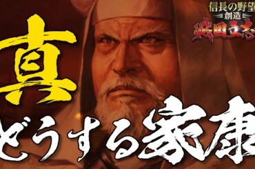 信長の野望 創造 戦国立志伝 徳川家康 真どうする家康 1話「真のどうする家康スタート」