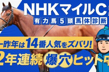 【NHKマイルカップ 2021】昨年は6番人気、一昨年は14番人気をズバリ！得意舞台で今年も魅せる！某大手牧場の元スタッフが見抜くGIイチオシ馬体！GIフォトパドック【競馬 予想】