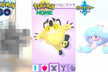 【速報最新情報まとめ】〇月6日に激レアポケモンが登場発表！・公式が色違いガラルニャースの〇〇を間違えてる…。・〇〇って…色んな人が引き起こしてるテブリムの事件。【ポケモン剣盾/GO/HOME】