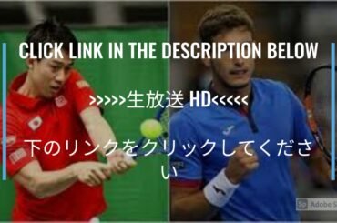 【錦織圭vs P.カレーニョ・ブスタ】2回戦 2021イタリア国際ローマ ライブ配信「Kei Nishikori vs Pablo Carreno Busta」 のテレビ放送・インターネットライブ中継