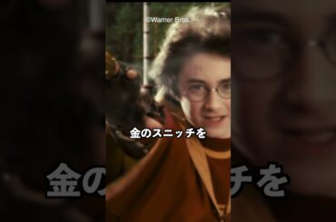 金のスニッチに隠された伏線 ダンブルドアがハリーに渡した遺品 賢者の石 #harrypotter #ハリーポッター